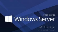Windows服务器是什么